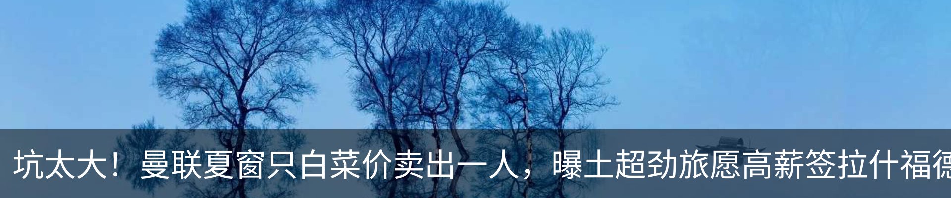 资讯动态