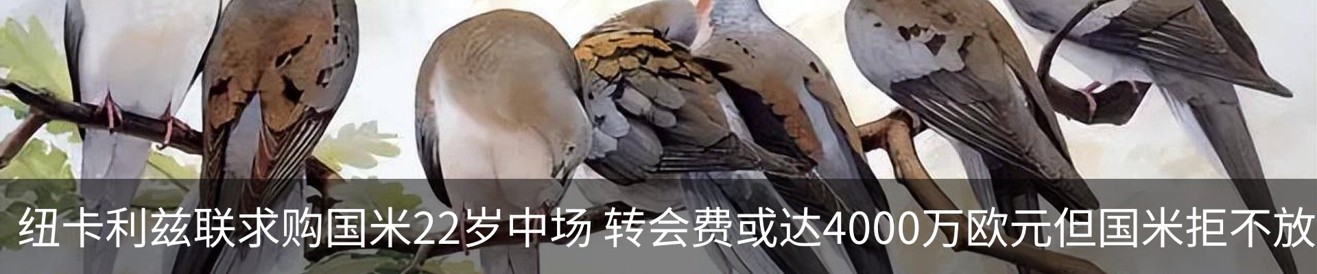 资讯动态
